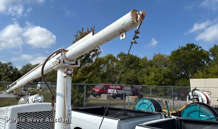 image for item EV3113 Light plant