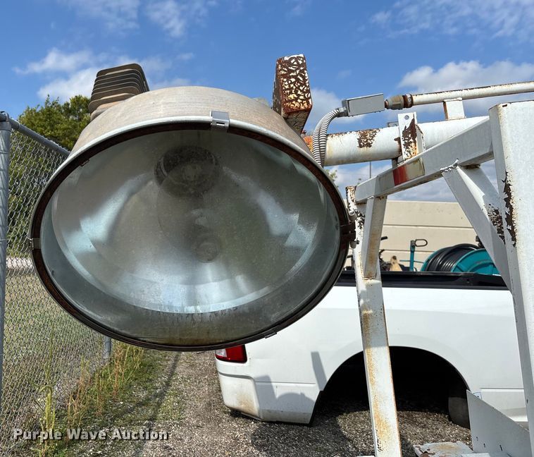 image for item EV3113 Light plant