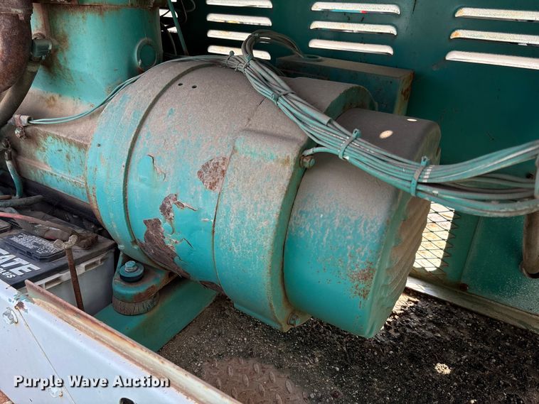 image for item EV3113 Light plant