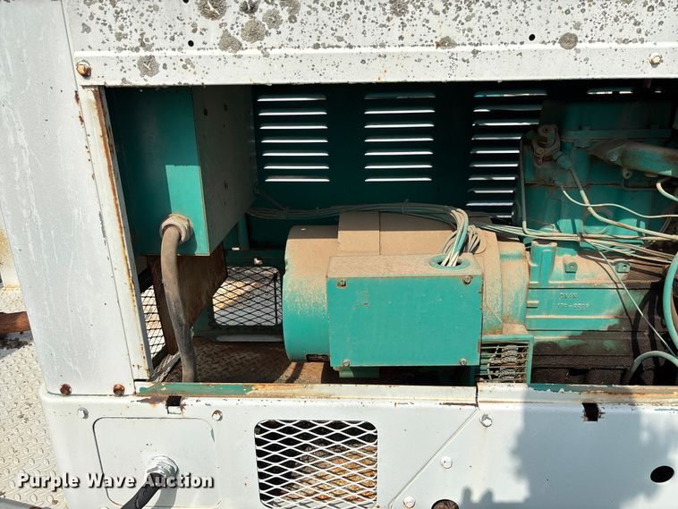 image for item EV3113 Light plant