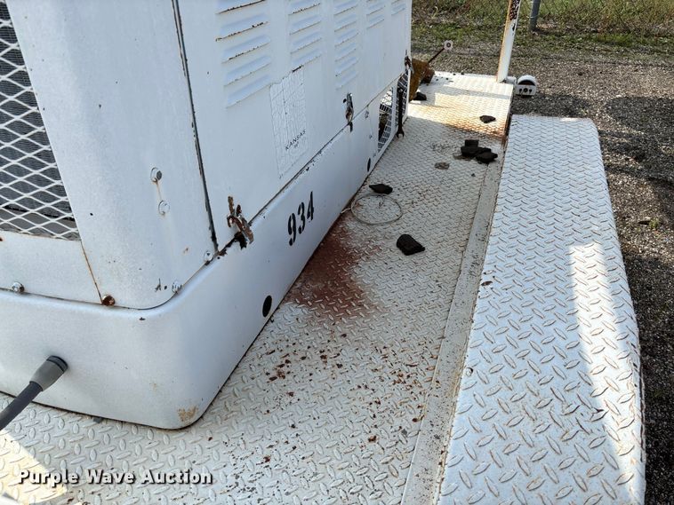 image for item EV3113 Light plant