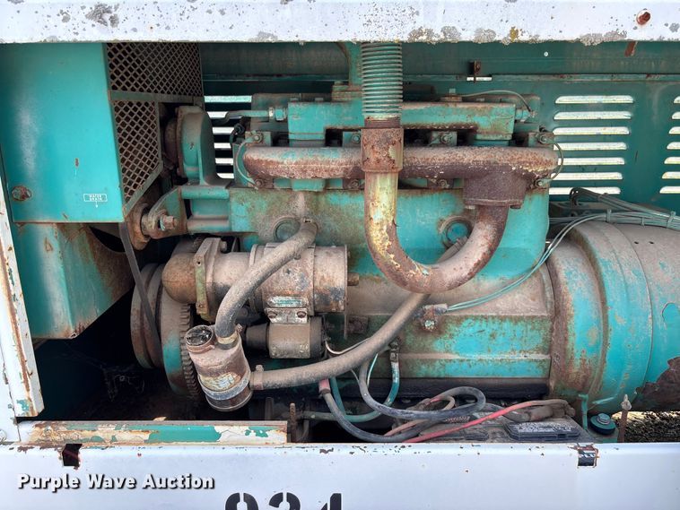 image for item EV3113 Light plant