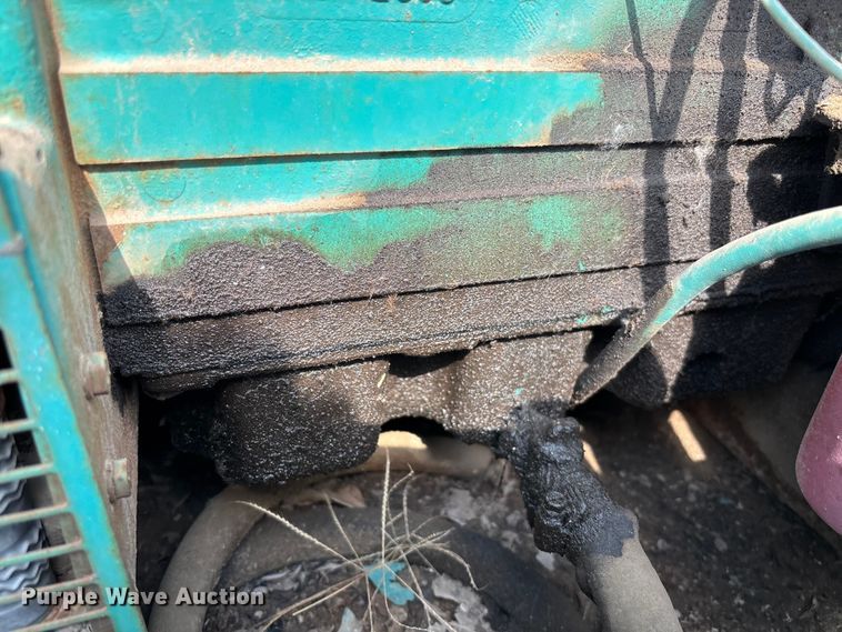 image for item EV3113 Light plant