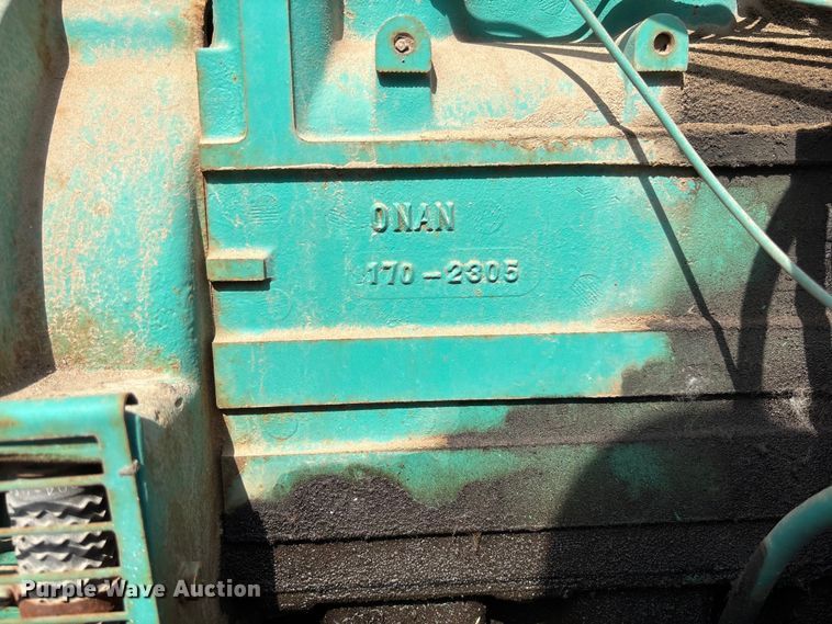 image for item EV3113 Light plant