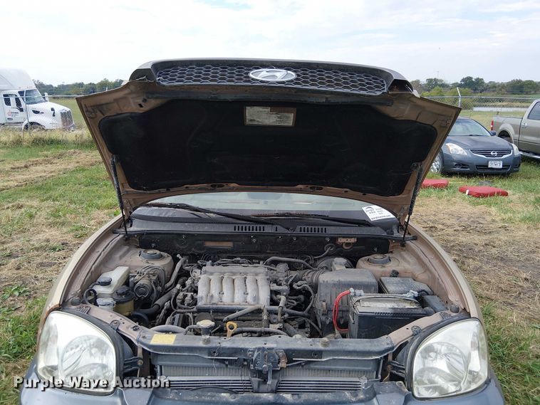 image for item DU3626 2004 Hyundai Santa Fe SUV