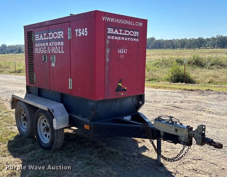 image for item EV3169 Baldor TS45T generator