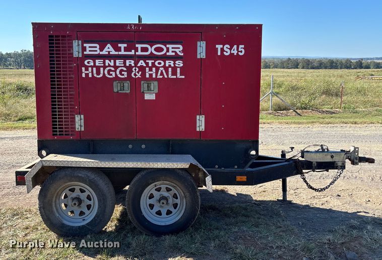 image for item EV3169 Baldor TS45T generator