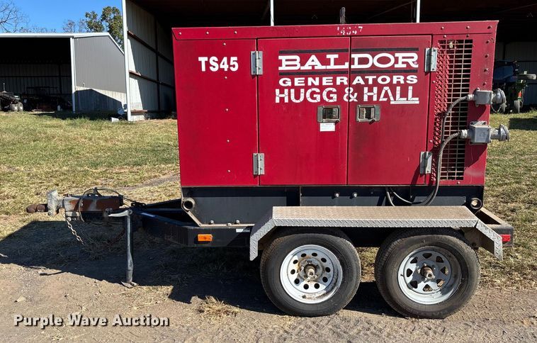 image for item EV3169 Baldor TS45T generator