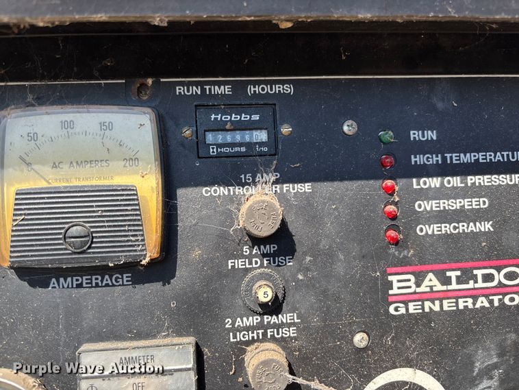 image for item EV3169 Baldor TS45T generator