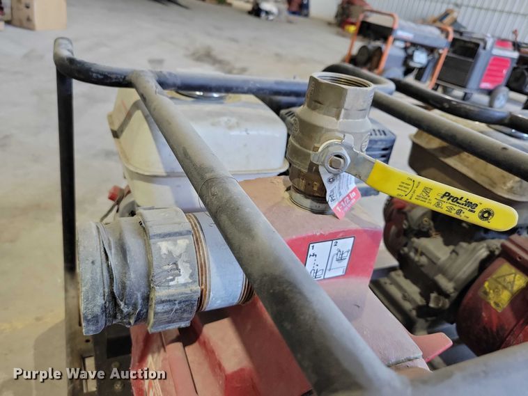 image for item DX6520 (2) Riverside Pumps TP3 3