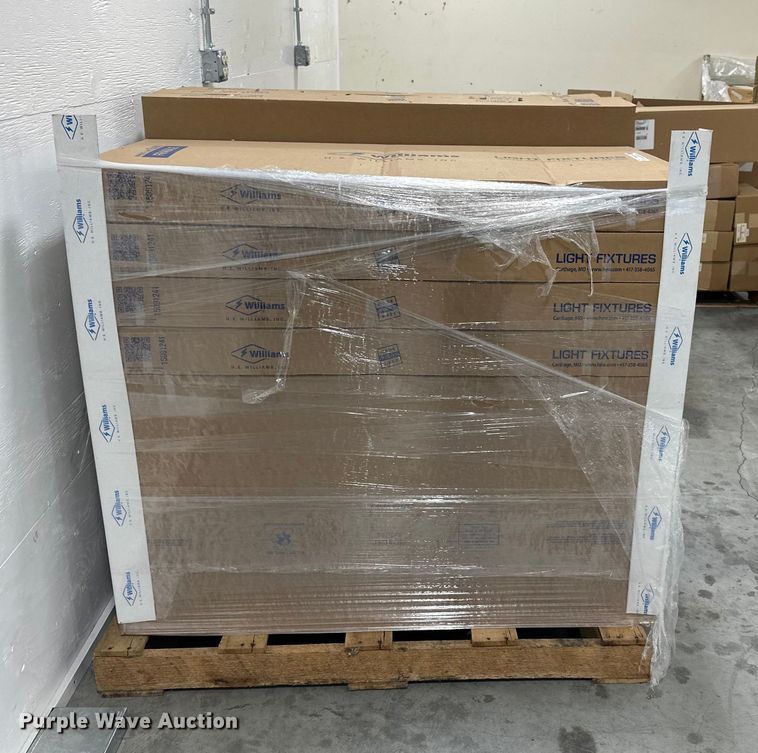 image for item ES5004 (19) Williams LED lights