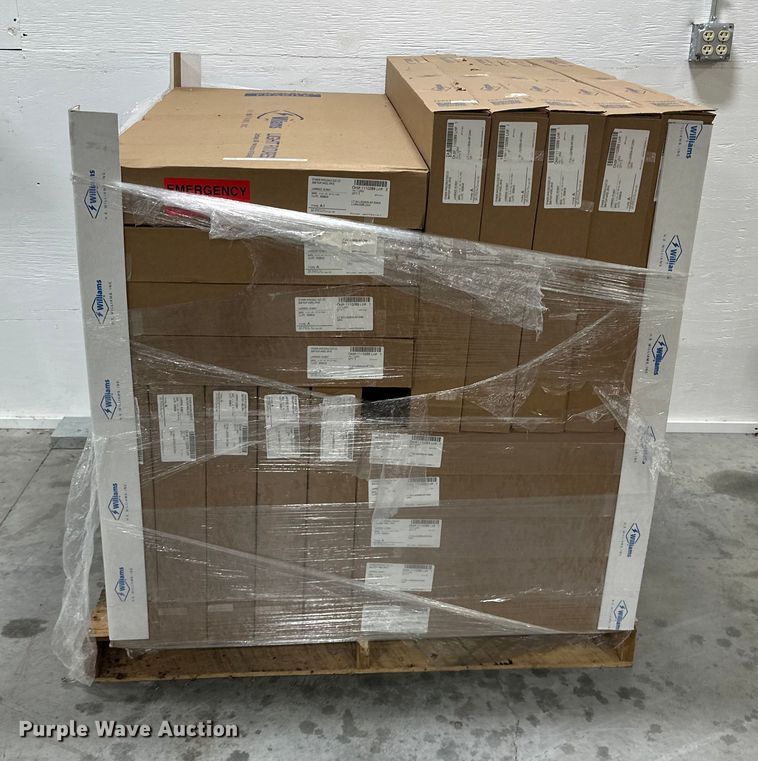 image for item ES5004 (19) Williams LED lights