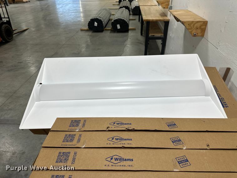 image for item ES5004 (19) Williams LED lights