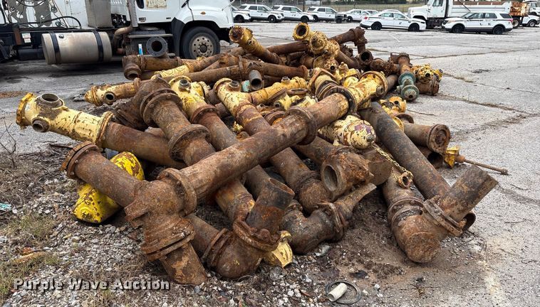 image for item EG8782 Approximately 50 fire hydrants