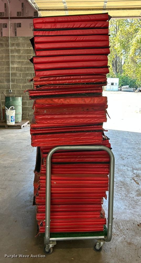 image for item ET6599 Gym mats