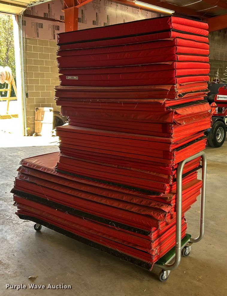 image for item ET6599 Gym mats