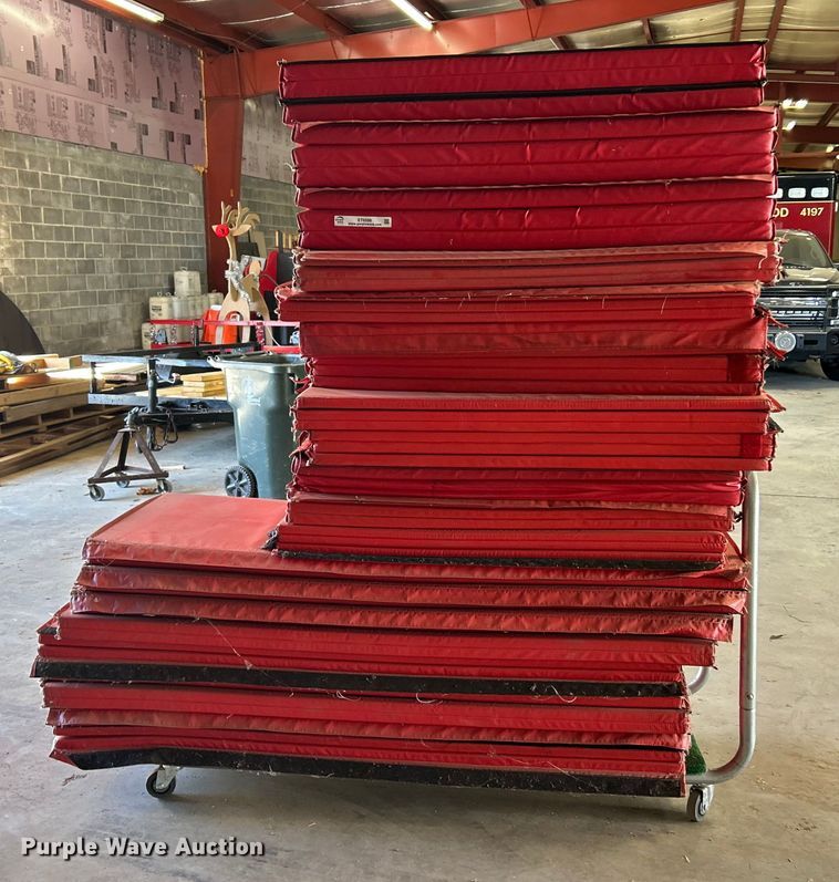 image for item ET6599 Gym mats