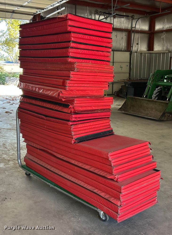 image for item ET6599 Gym mats