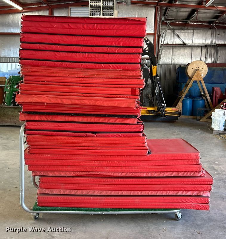 image for item ET6599 Gym mats