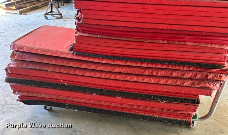 image for item ET6599 Gym mats