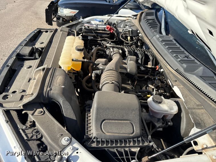 image for item EU5333 2019 Ford F150 pickup truck