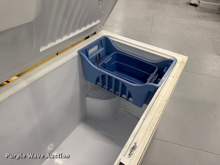 image for item EU6259 Chest freezer