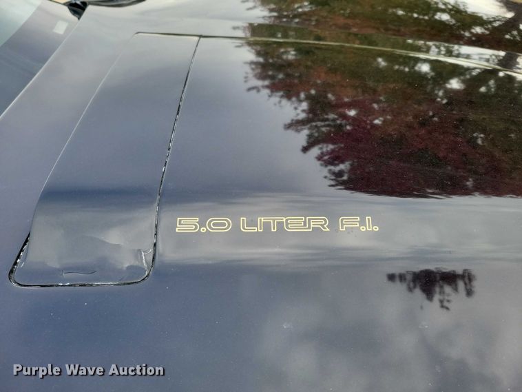 image for item DX6597 1987 Pontiac Firebird Trans Am 