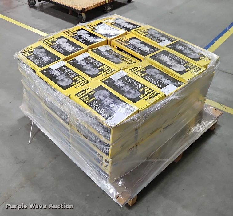 image for item EB8433 Approximately 60 LumaPro light fixtures