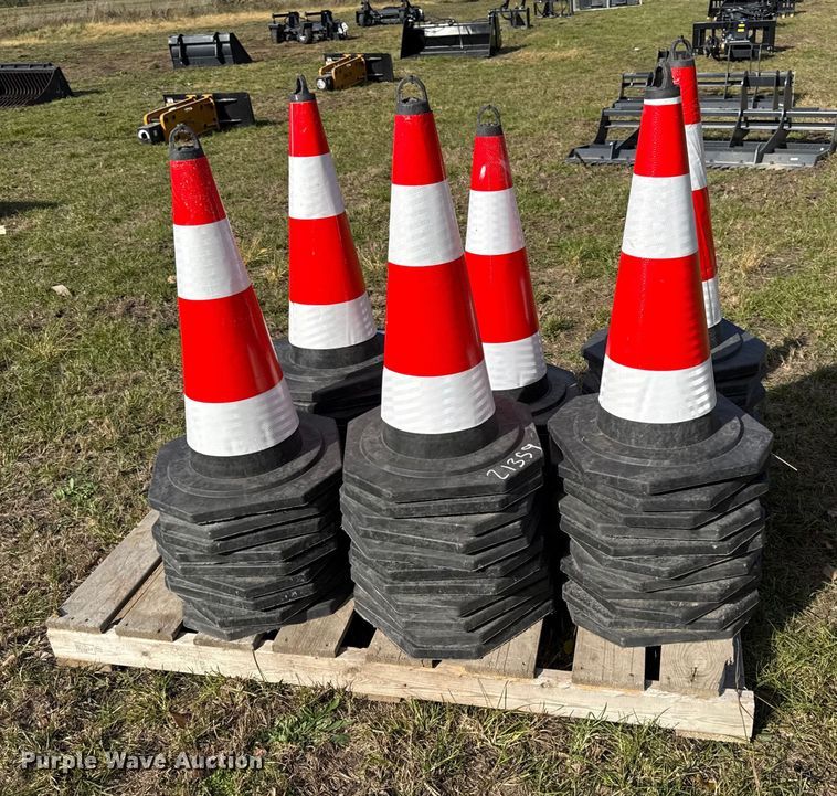 image for item DY8407 (60) traffic cones