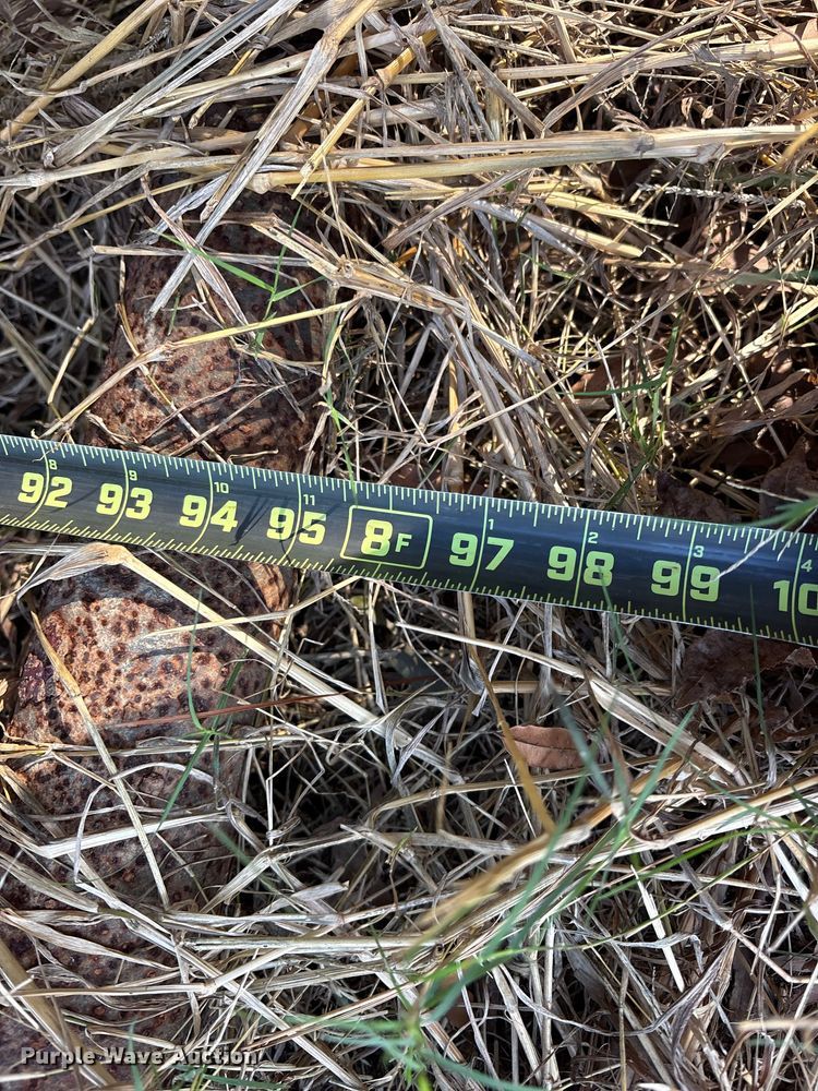 image for item ET7212 Livestock feeder