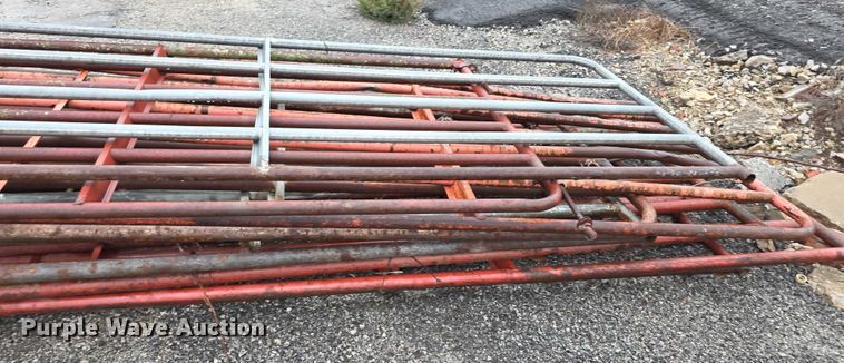 image for item DZ3631 (8) livestock gates
