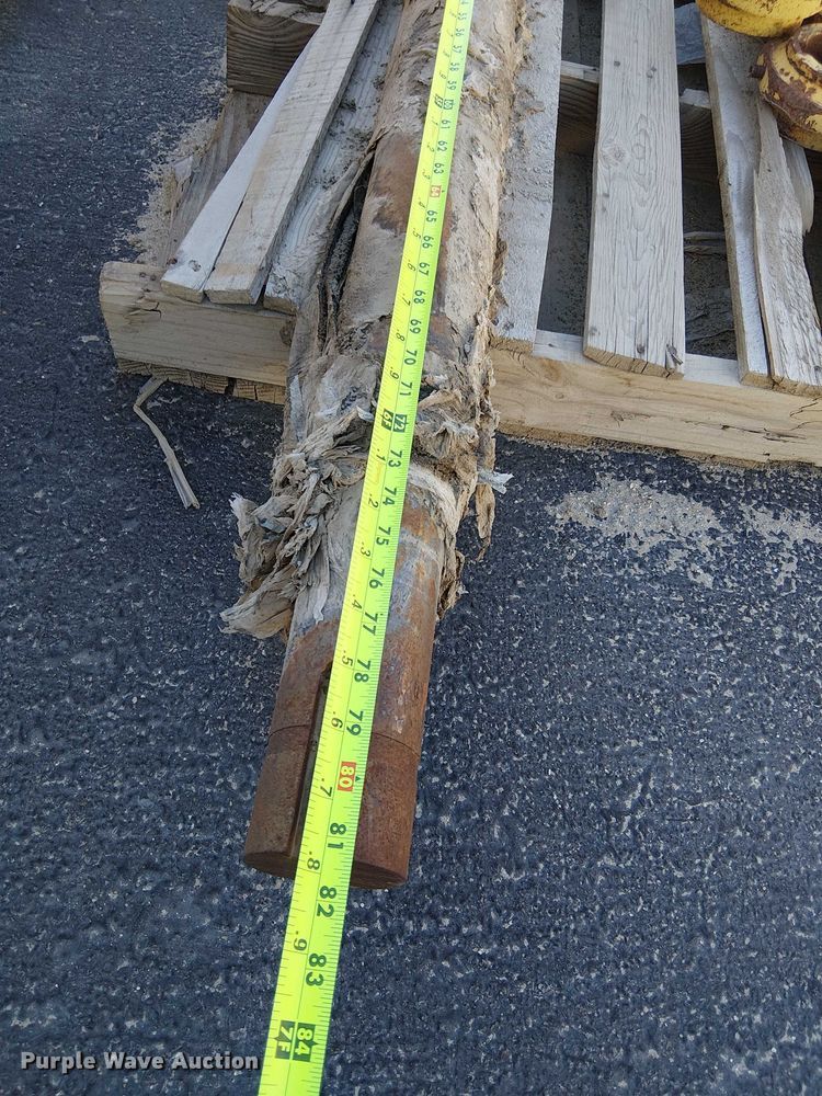 image for item EC1264 Screen plant parts