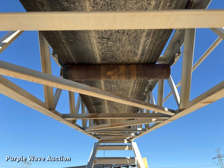 image for item EC8100 2017 TCI 30 X 60 RDS radial stacking conveyor