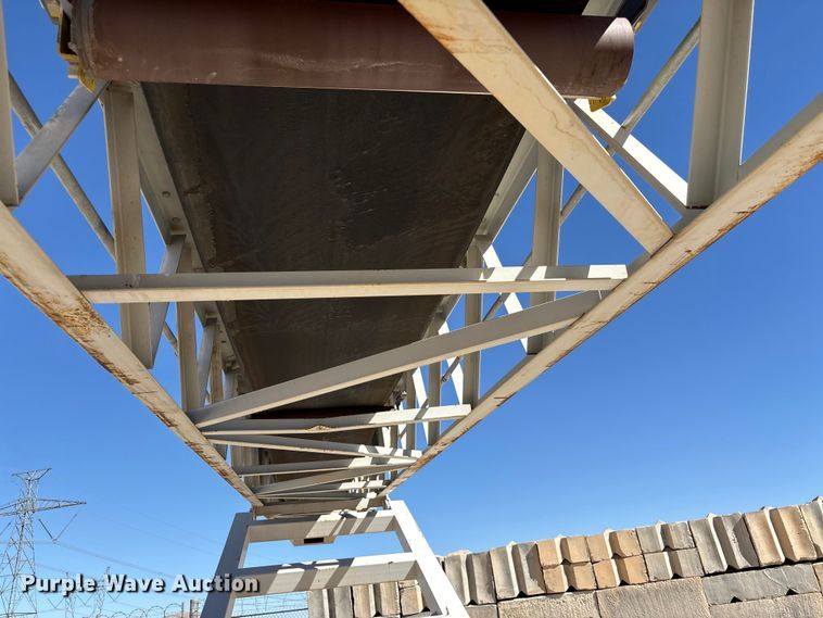 image for item EC8104 2017 TCI 30 X 60 RDS radial stacking conveyor