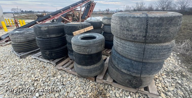 image for item DW6696 (30) tires and wheels