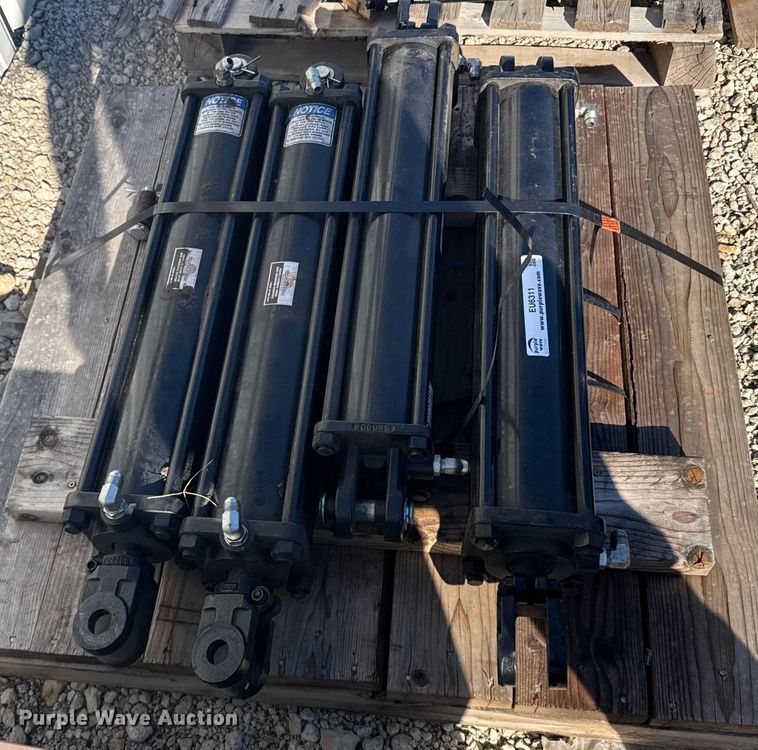 image for item EU6311 (4) hydraulic cylinders