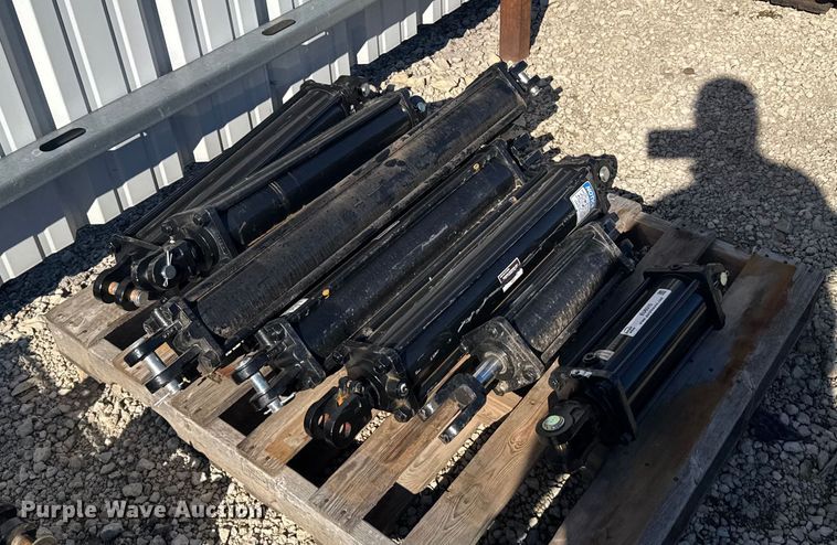 image for item EU6315 (8) hydraulic cylinders