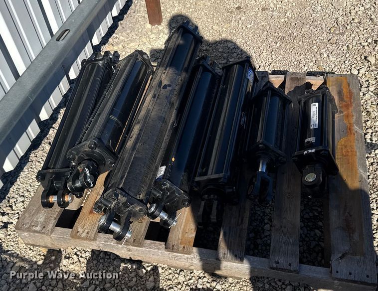 image for item EU6315 (8) hydraulic cylinders