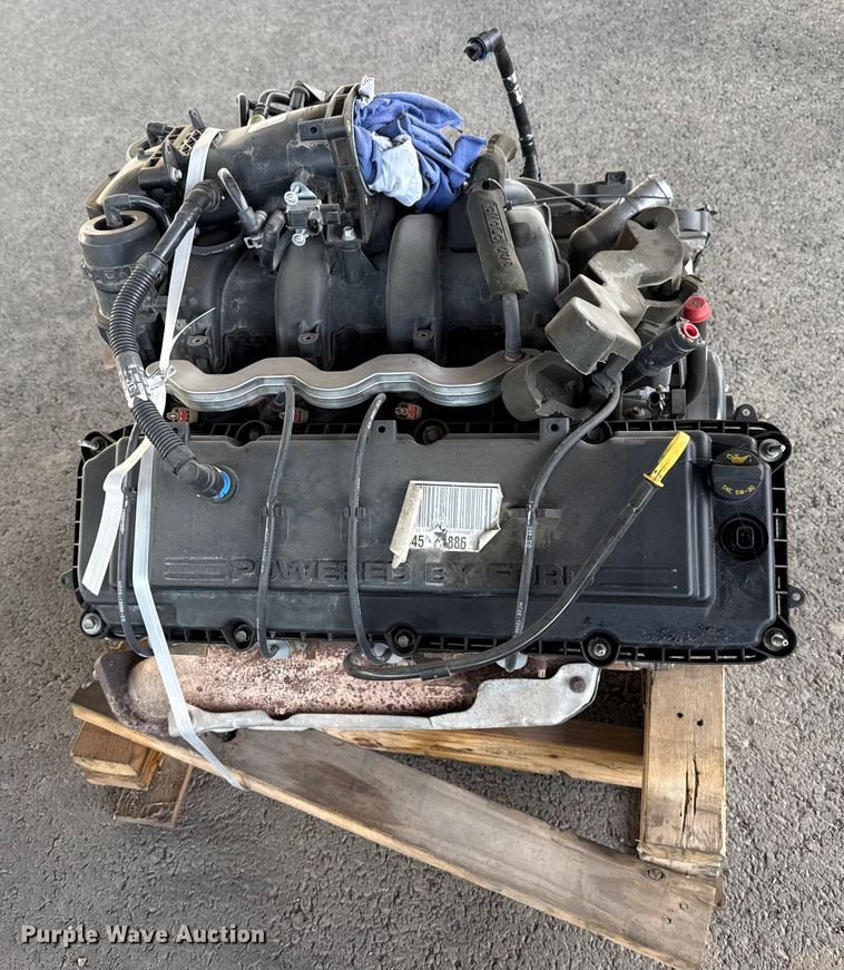 image for item EU5449 Ford engine