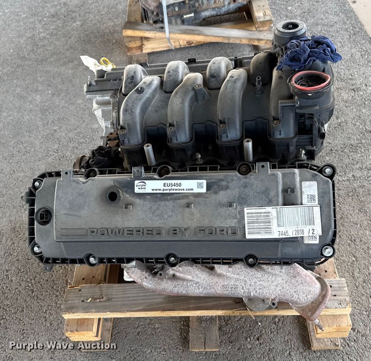 image for item EU5450 Ford engine