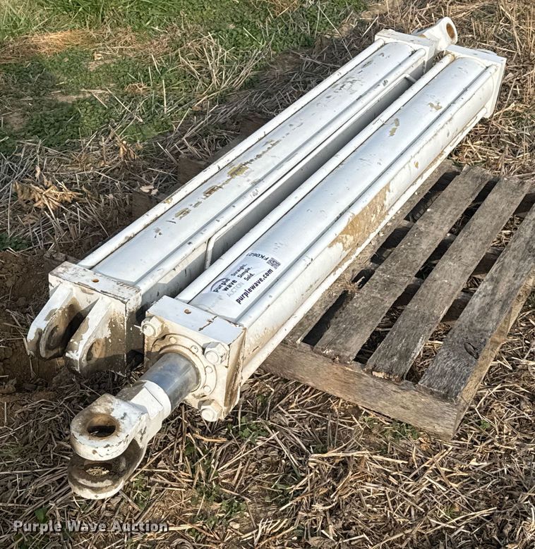 image for item FK0621 (2) hydraulic cylinders