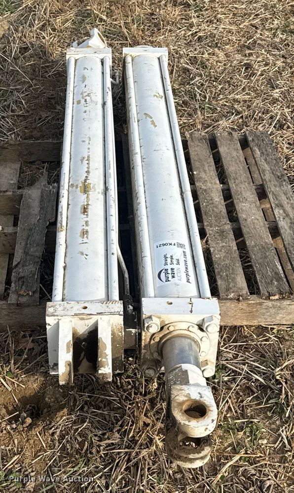 image for item FK0621 (2) hydraulic cylinders