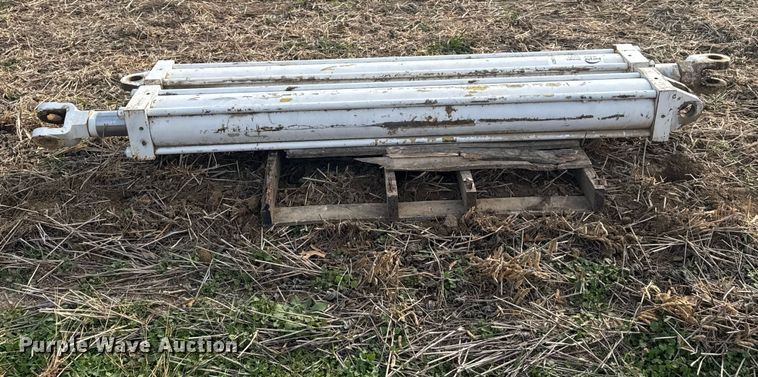 image for item FK0621 (2) hydraulic cylinders