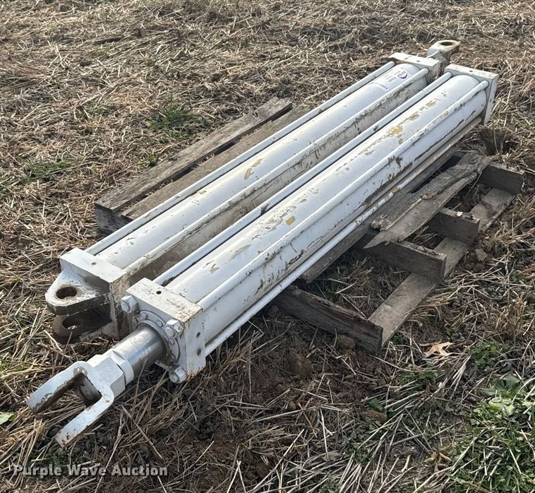 image for item FK0621 (2) hydraulic cylinders