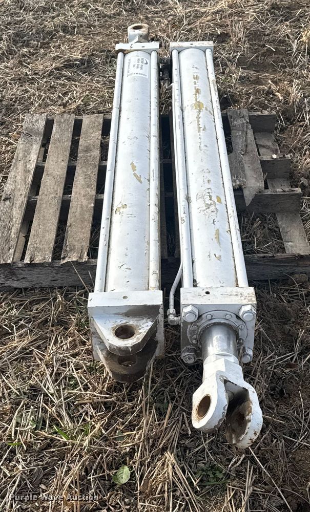 image for item FK0621 (2) hydraulic cylinders