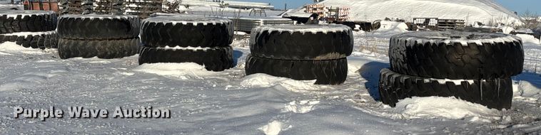 image for item DK0180 (8) 14R24 tires