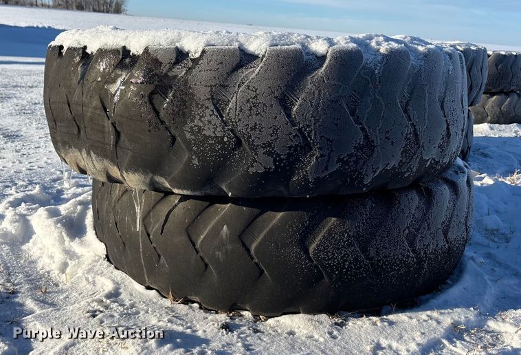 image for item DK0180 (8) 14R24 tires