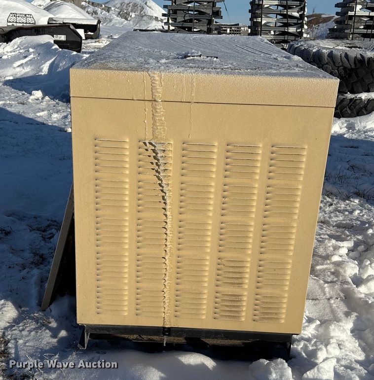 image for item DK0194 (2) Generac generators