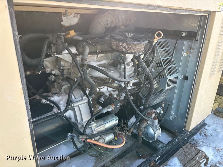 image for item DK0194 (2) Generac generators