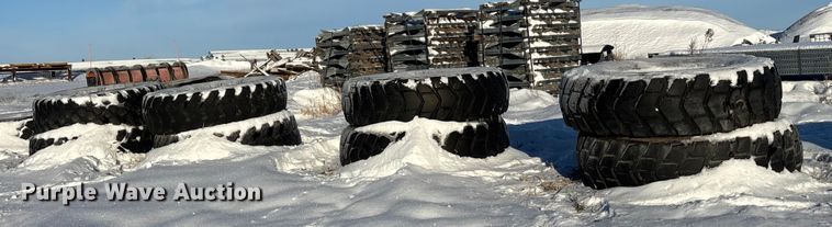 image for item DK0195 (9) 14R24 tires